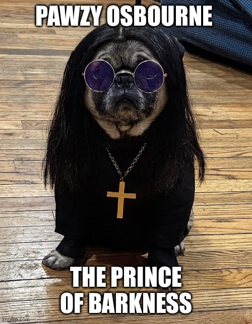 Pawzy Osbourne | PAWZY OSBOURNE; THE PRINCE OF BARKNESS | image tagged in funny | made w/ Imgflip meme maker