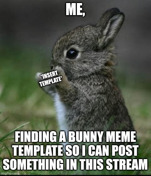 Cute Bunny | ME, *INSERT TEMPLATE*; FINDING A BUNNY MEME TEMPLATE SO I CAN POST SOMETHING IN THIS STREAM | image tagged in cute bunny | made w/ Imgflip meme maker