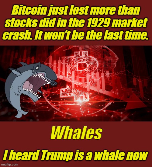 Bitcoin just lost more than stocks did in the 1929 market crash. It won’t be the last time. Whales; I heard Trump is a whale now | made w/ Imgflip meme maker