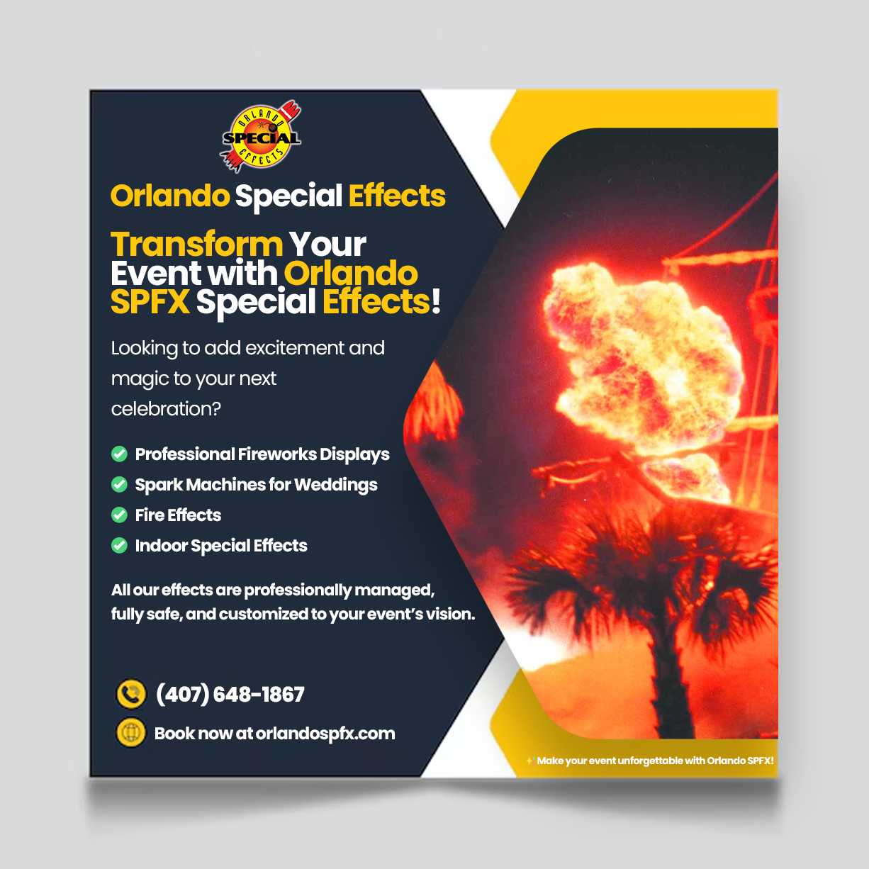 Professional Fireworks Display Blank Meme Template