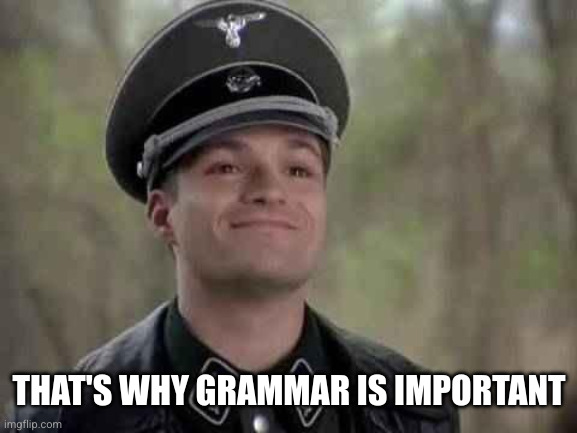 grammar nazi | THAT'S WHY GRAMMAR IS IMPORTANT | image tagged in grammar nazi | made w/ Imgflip meme maker