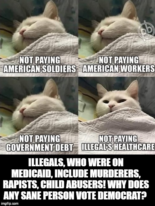 WHY DOES ANY SANE PERSON VOTE DEMOCRAT? | ILLEGALS, WHO WERE ON MEDICAID, INCLUDE MURDERERS, RAPISTS, CHILD ABUSERS! WHY DOES ANY SANE PERSON VOTE DEMOCRAT? | image tagged in sam elliott special kind of stupid | made w/ Imgflip meme maker