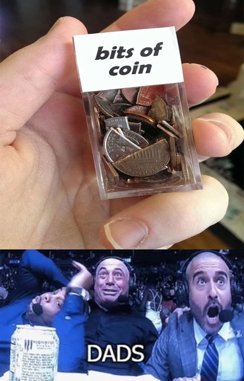 image tagged in beach boys | made w/ Imgflip meme maker