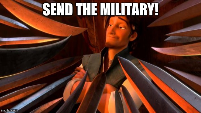 Flynn rider swords | SEND THE MILITARY! | image tagged in flynn rider swords | made w/ Imgflip meme maker