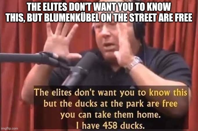 Alex jones free ducks | THE ELITES DON'T WANT YOU TO KNOW THIS, BUT BLUMENKÜBEL ON THE STREET ARE FREE | image tagged in alex jones free ducks | made w/ Imgflip meme maker