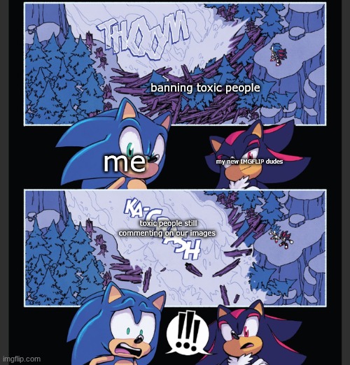 sonic and shadow dam flood | banning toxic people; me; my new IMGFLIP dudes; toxic people still commenting on our images | image tagged in sonic and shadow dam flood | made w/ Imgflip meme maker