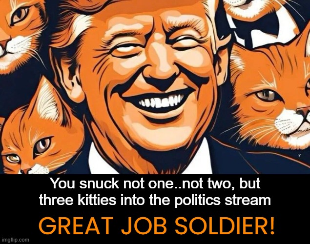 GREAT JOB SOLDIER! You snuck not one..not two, but three kitties into the politics stream | made w/ Imgflip meme maker