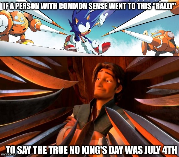 IF A PERSON WITH COMMON SENSE WENT TO THIS "RALLY" TO SAY THE TRUE NO KING'S DAY WAS JULY 4TH | image tagged in cannons sonic,flynn rider swords | made w/ Imgflip meme maker