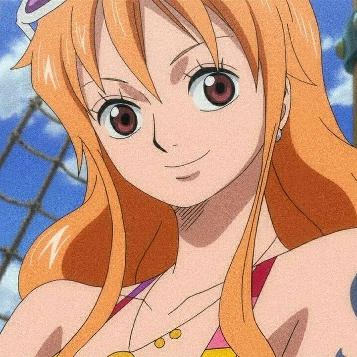 Nami hot Blank Meme Template