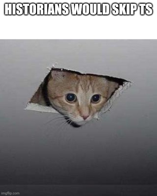 Ceiling Cat Meme | HISTORIANS WOULD SKIP TS | image tagged in memes,ceiling cat | made w/ Imgflip meme maker