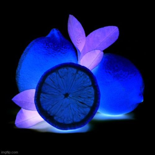 . | made w/ Imgflip meme maker