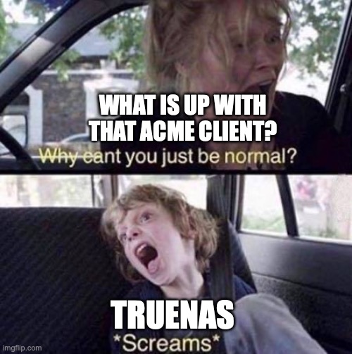 Why Can't You Just Be Normal | WHAT IS UP WITH THAT ACME CLIENT? TRUENAS | image tagged in why can't you just be normal | made w/ Imgflip meme maker