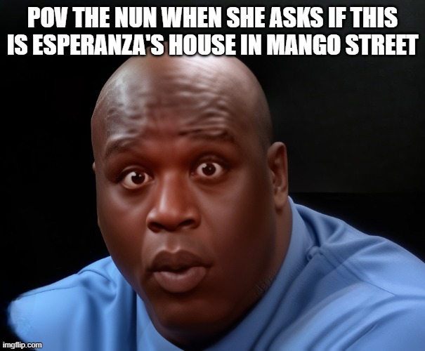 POV THE NUN WHEN SHE ASKS IF THIS IS ESPERANZA'S HOUSE IN MANGO STREET | image tagged in shaq | made w/ Imgflip meme maker