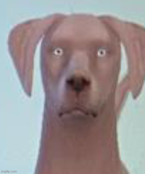 Density Temu blank stare | image tagged in density temu blank stare | made w/ Imgflip meme maker