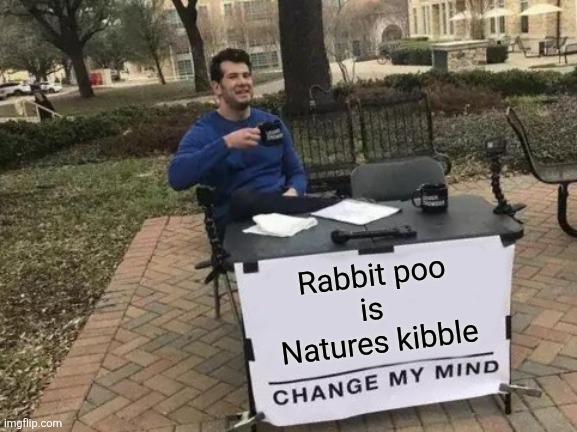 Change My Mind Meme | Rabbit poo
is 
Natures kibble | image tagged in memes,change my mind | made w/ Imgflip meme maker