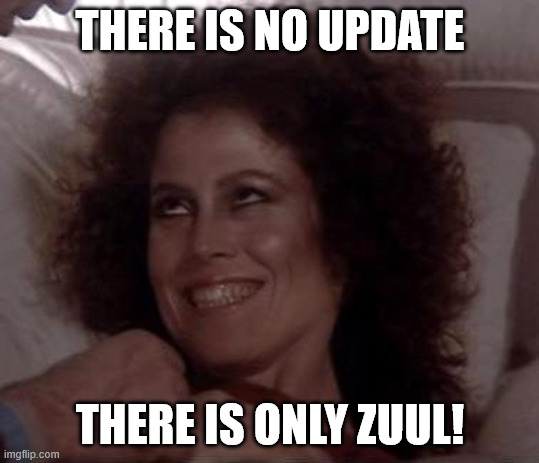 No Dana; only ZUUL | THERE IS NO UPDATE; THERE IS ONLY ZUUL! | image tagged in no dana only zuul | made w/ Imgflip meme maker