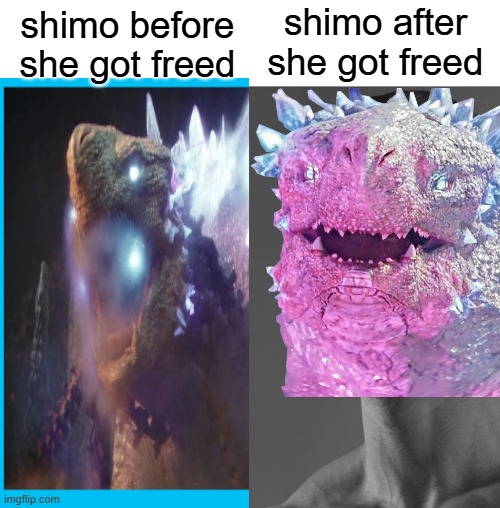 really shimo is nicer then godzilla | shimo after she got freed; shimo before she got freed | image tagged in average fan vs average enjoyer | made w/ Imgflip meme maker