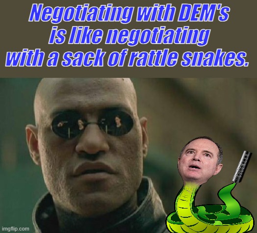 Don't trust a dem, it never pays off. | Negotiating with DEM's is like negotiating with a sack of rattle snakes. | image tagged in memes,matrix morpheus | made w/ Imgflip meme maker