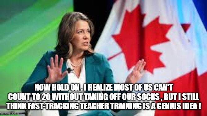 canadian politics | image tagged in political meme | made w/ Imgflip meme maker