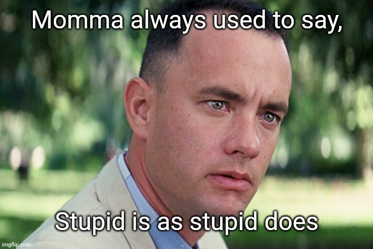 And Just Like That Meme | Momma always used to say, Stupid is as stupid does | image tagged in memes,and just like that | made w/ Imgflip meme maker
