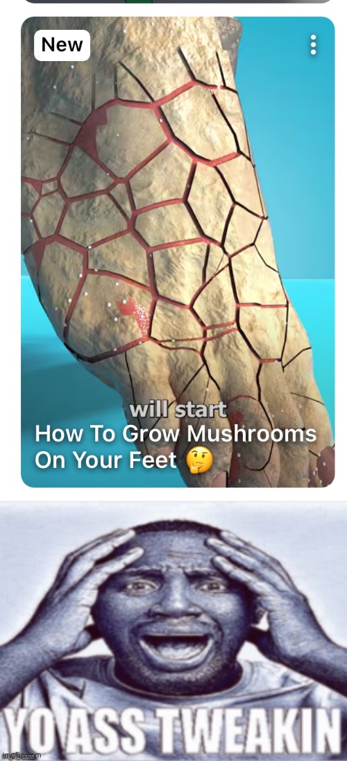 image tagged in yo ass tweakin | made w/ Imgflip meme maker