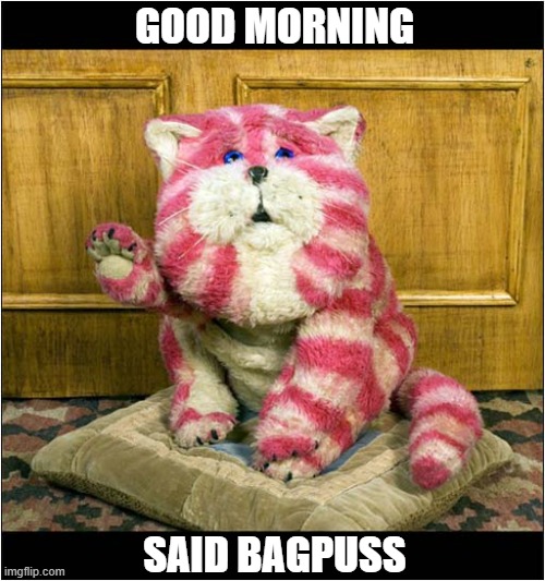 Happy Memories ! | GOOD MORNING; SAID BAGPUSS | image tagged in cats,bagpuss | made w/ Imgflip meme maker