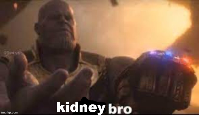 link bro | kidney | image tagged in link bro | made w/ Imgflip meme maker