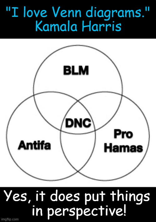 Ah, Those Violently Peaceful Protests.... | "I love Venn diagrams." 
Kamala Harris; Yes, it does put things 
in perspective! | image tagged in kamala harris,venn diagram,democrats,violence,is this much violence really necessary,haters gonna hate | made w/ Imgflip meme maker