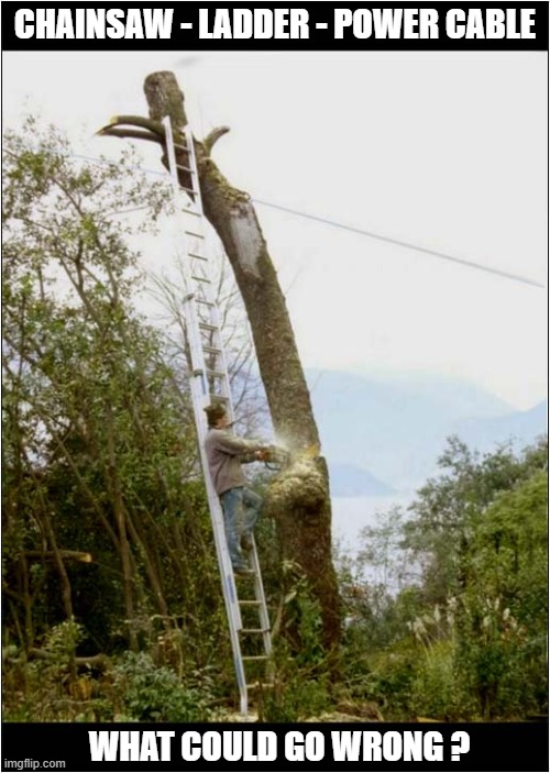 Darwin Award Competitor - Chainsaw Category | CHAINSAW - LADDER - POWER CABLE; WHAT COULD GO WRONG ? | image tagged in darwin awards,chainsaw | made w/ Imgflip meme maker