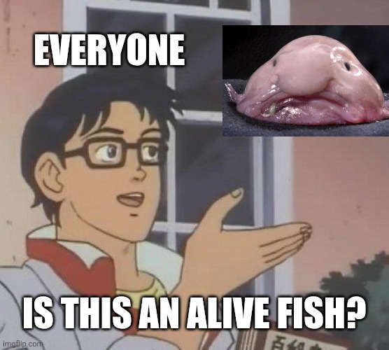 Who's gonna tell them | EVERYONE; IS THIS AN ALIVE FISH? | image tagged in memes,is this a pigeon,blobfish | made w/ Imgflip meme maker