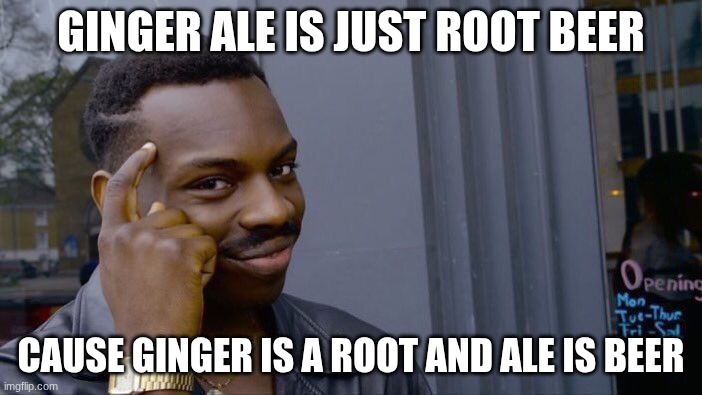Roll Safe Think About It Meme | GINGER ALE IS JUST ROOT BEER; CAUSE GINGER IS A ROOT AND ALE IS BEER | image tagged in memes,roll safe think about it | made w/ Imgflip meme maker