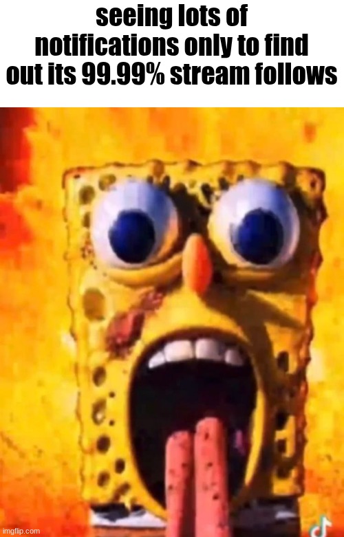 from people in general btw | seeing lots of notifications only to find out its 99.99% stream follows | image tagged in rotbob | made w/ Imgflip meme maker