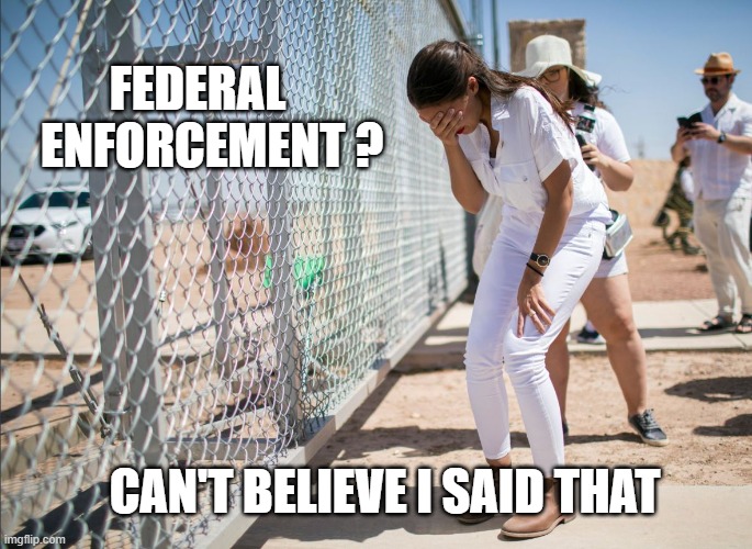 AOC discovers the existence of fences | FEDERAL
   ENFORCEMENT ? CAN'T BELIEVE I SAID THAT | image tagged in aoc discovers the existence of fences | made w/ Imgflip meme maker