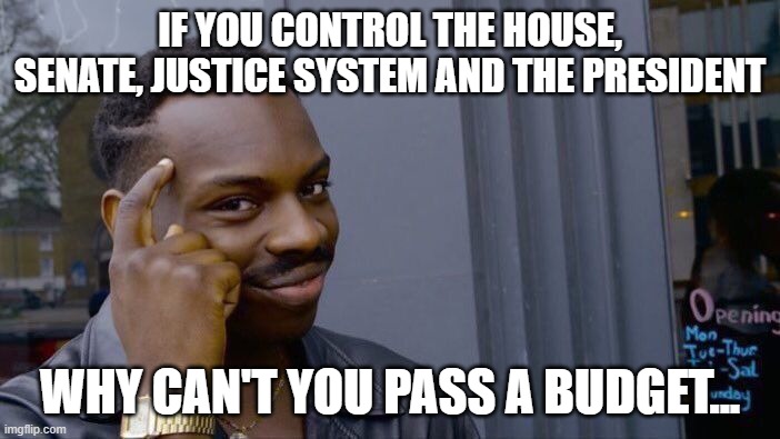 Because "ITS THE LEFT WHO WANT TO FUND ILLEGALS" There is no proof for this bs claim | IF YOU CONTROL THE HOUSE, SENATE, JUSTICE SYSTEM AND THE PRESIDENT; WHY CAN'T YOU PASS A BUDGET... | image tagged in memes,roll safe think about it | made w/ Imgflip meme maker