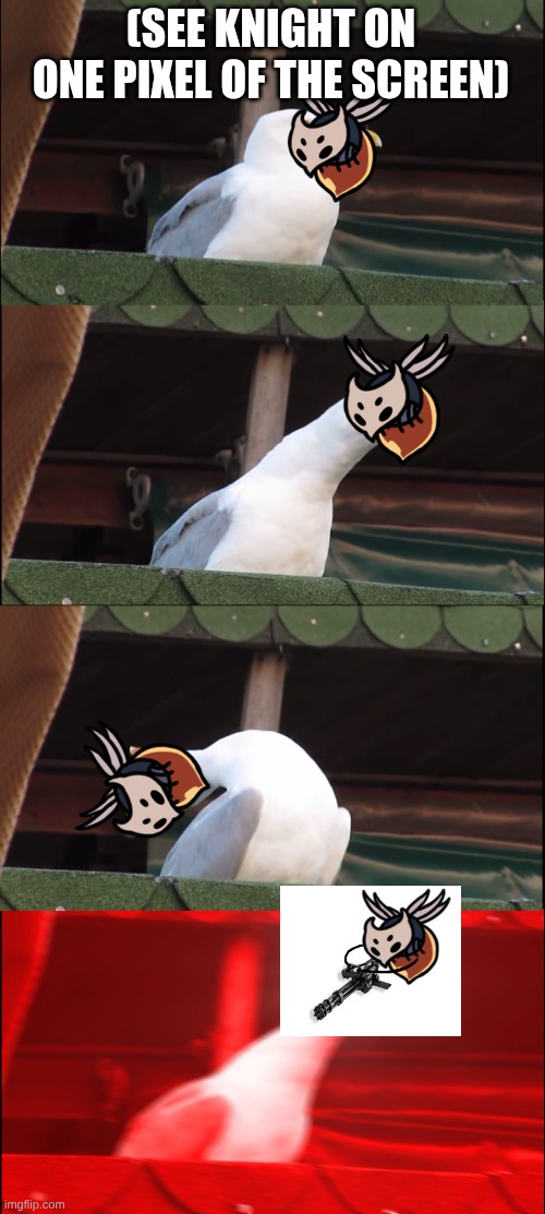 :0 | (SEE KNIGHT ON ONE PIXEL OF THE SCREEN) | image tagged in memes,inhaling seagull | made w/ Imgflip meme maker