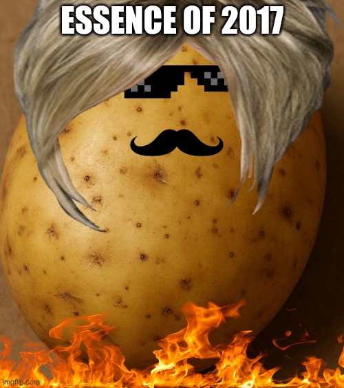 ESSENCE OF 2017 | image tagged in potato,why are you reading the tags,stop reading the tags,stop reading these tags,ha ha tags go brr | made w/ Imgflip meme maker