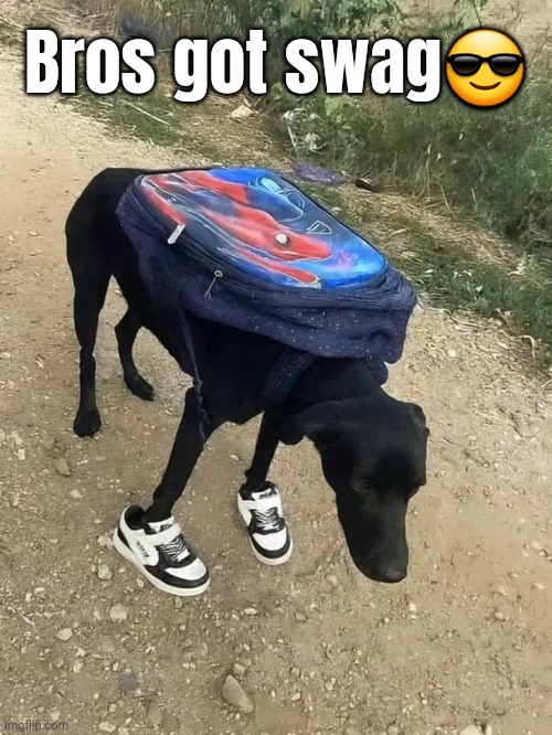 Fun streem ahh meme | Bros got swag😎 | made w/ Imgflip meme maker
