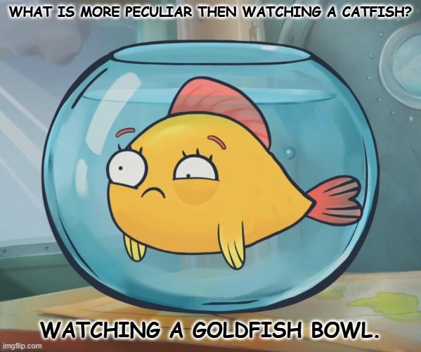 Daily Bad Dad Joke October 16,2025 | WHAT IS MORE PECULIAR THEN WATCHING A CATFISH? WATCHING A GOLDFISH BOWL. | image tagged in goldfish | made w/ Imgflip meme maker