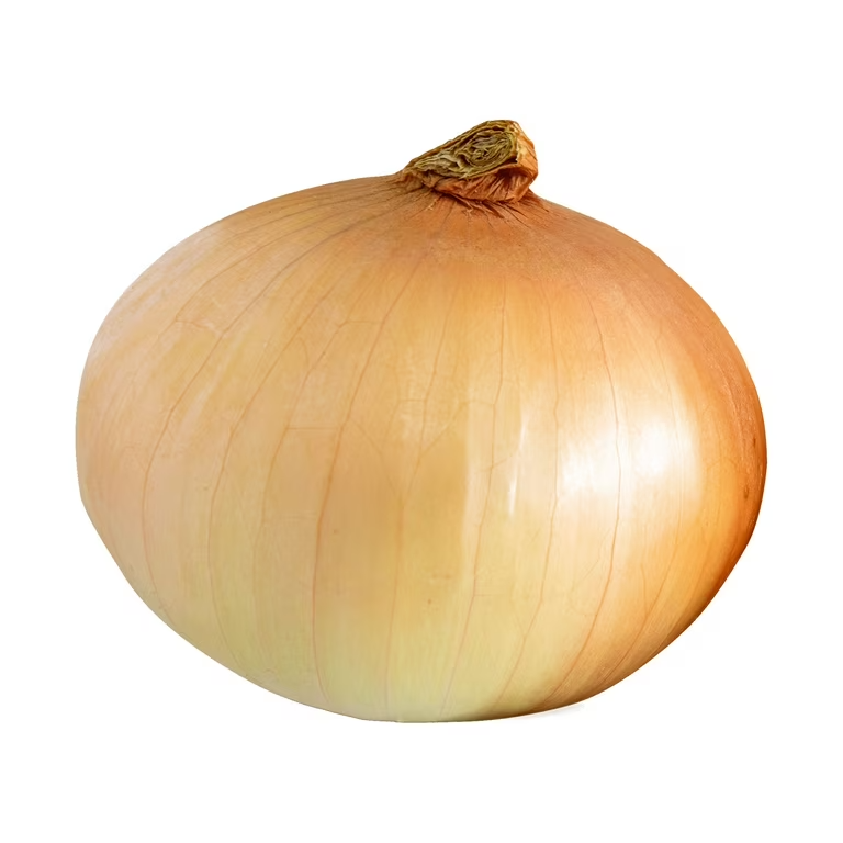 High Quality French Onion Blank Meme Template