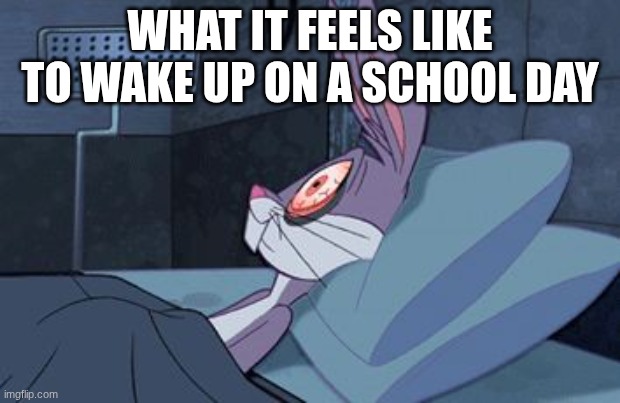 School these days | WHAT IT FEELS LIKE TO WAKE UP ON A SCHOOL DAY | image tagged in bugs bunny can't sleep | made w/ Imgflip meme maker