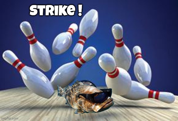 Fish Bowl ? | Strike ! | image tagged in bowling ball,well yes but actually no,bowling,sports,funny shoes,totally worth it | made w/ Imgflip meme maker