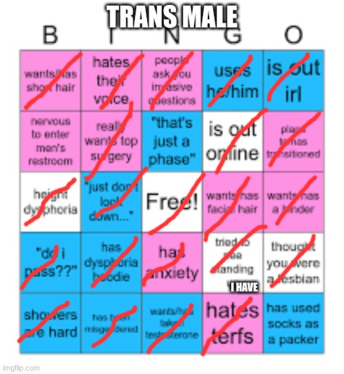 Trans Male bingo | TRANS MALE; I HAVE | image tagged in trans male bingo | made w/ Imgflip meme maker