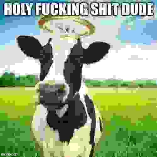 Holy fucking shit dude | image tagged in holy fucking shit dude | made w/ Imgflip meme maker
