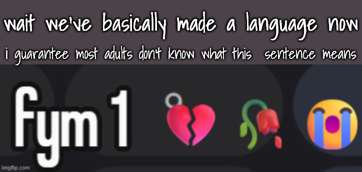 tiktokish | wait we've basically made a language now; i guarantee most adults don't know what this  sentence means | made w/ Imgflip meme maker