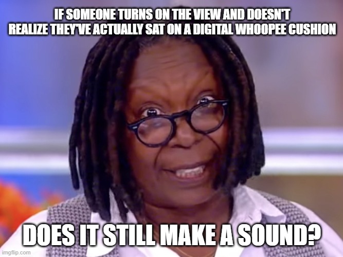 If a tree falls in the forest and no one is there to hear it, does it still make a sound? | IF SOMEONE TURNS ON THE VIEW AND DOESN'T REALIZE THEY'VE ACTUALLY SAT ON A DIGITAL WHOOPEE CUSHION; DOES IT STILL MAKE A SOUND? | image tagged in crazy whoopi,the view,gaslighting | made w/ Imgflip meme maker