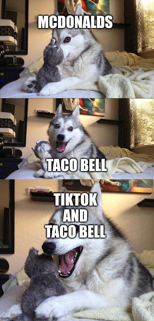 Bad Pun Dog Meme | MCDONALDS; TIKTOK AND TACO BELL; TACO BELL | image tagged in memes,bad pun dog | made w/ Imgflip meme maker