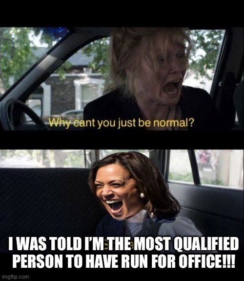 Babadook Scream | I WAS TOLD I’M THE MOST QUALIFIED PERSON TO HAVE RUN FOR OFFICE!!! | image tagged in babadook scream,kamala harris,politics,political meme | made w/ Imgflip meme maker