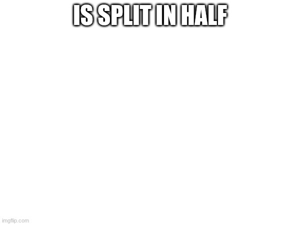 IS SPLIT IN HALF | made w/ Imgflip meme maker