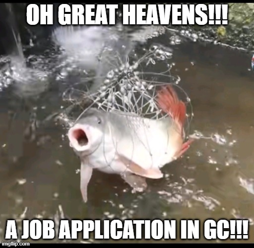 A J*B!!!! | OH GREAT HEAVENS!!! A JOB APPLICATION IN GC!!! | image tagged in oh great heavens fish | made w/ Imgflip meme maker