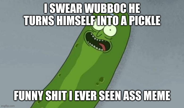 Pickle rick | I SWEAR WUBBOC HE TURNS HIMSELF INTO A PICKLE FUNNY SHIT I EVER SEEN ASS MEME | image tagged in pickle rick | made w/ Imgflip meme maker